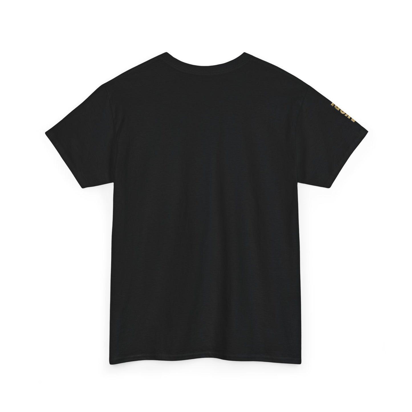 Akobi Empower Tee – Bold, Inspiring, Unisex Design Black Tee Gold Letters